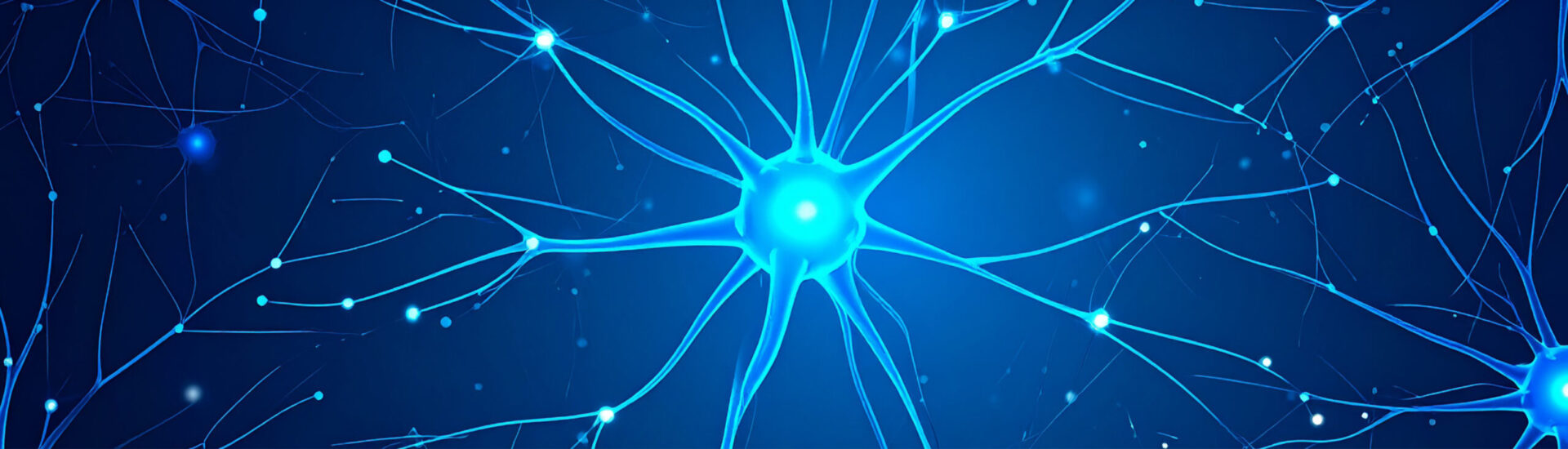 Neuronale Netze